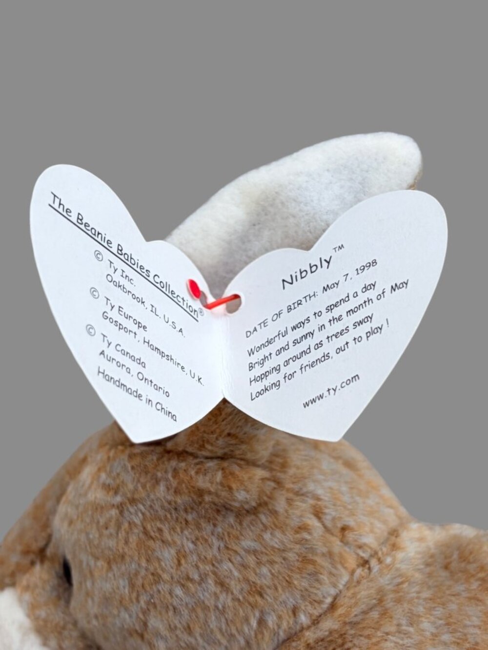 Ty Beanie Baby Nibbly Bunny Rabbit 1998 Plush w/ Hang Tag Brown White Collector - Picture 7 of 8